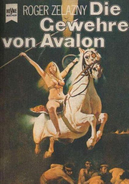 Titelbild zum Buch: Die Gewehre von Avalon